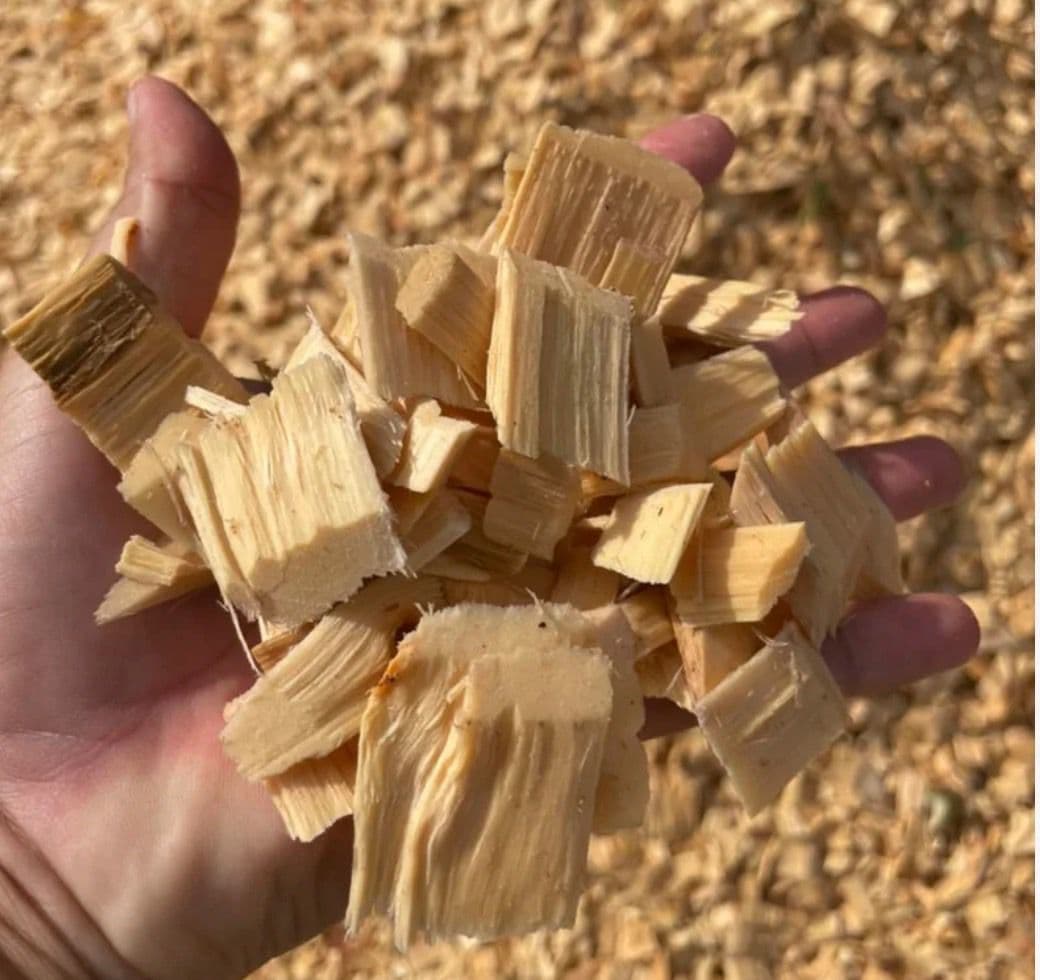 Close-up of quality-tested pulp-grade eucalyptus wood chips
